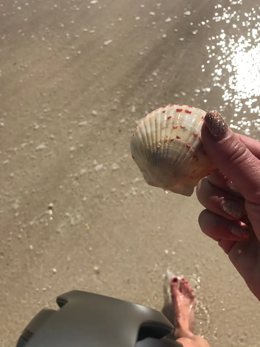 A shell held at the water’s edge at Rosemary Beach