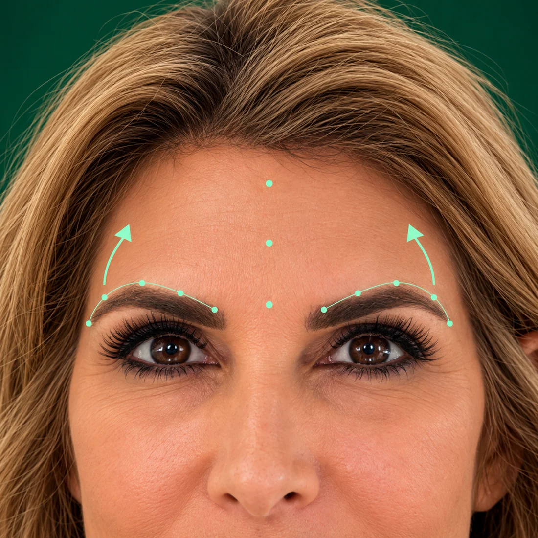 My brow illustration with mint contours and upward arrows above the outer brows